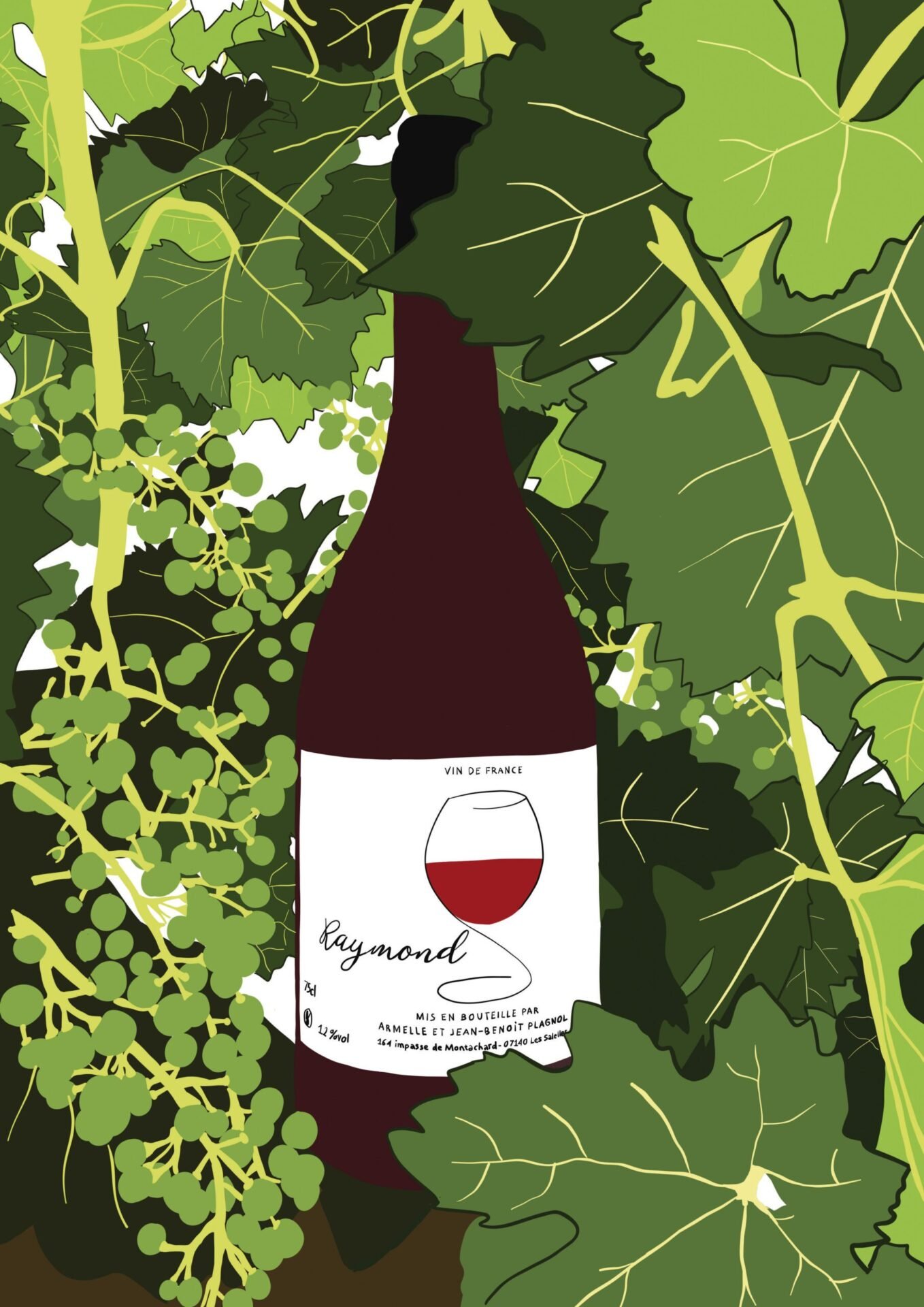 illustration Vins Plagnol (une bouteille entouré de feuilles de vignes) PORTFOLIO