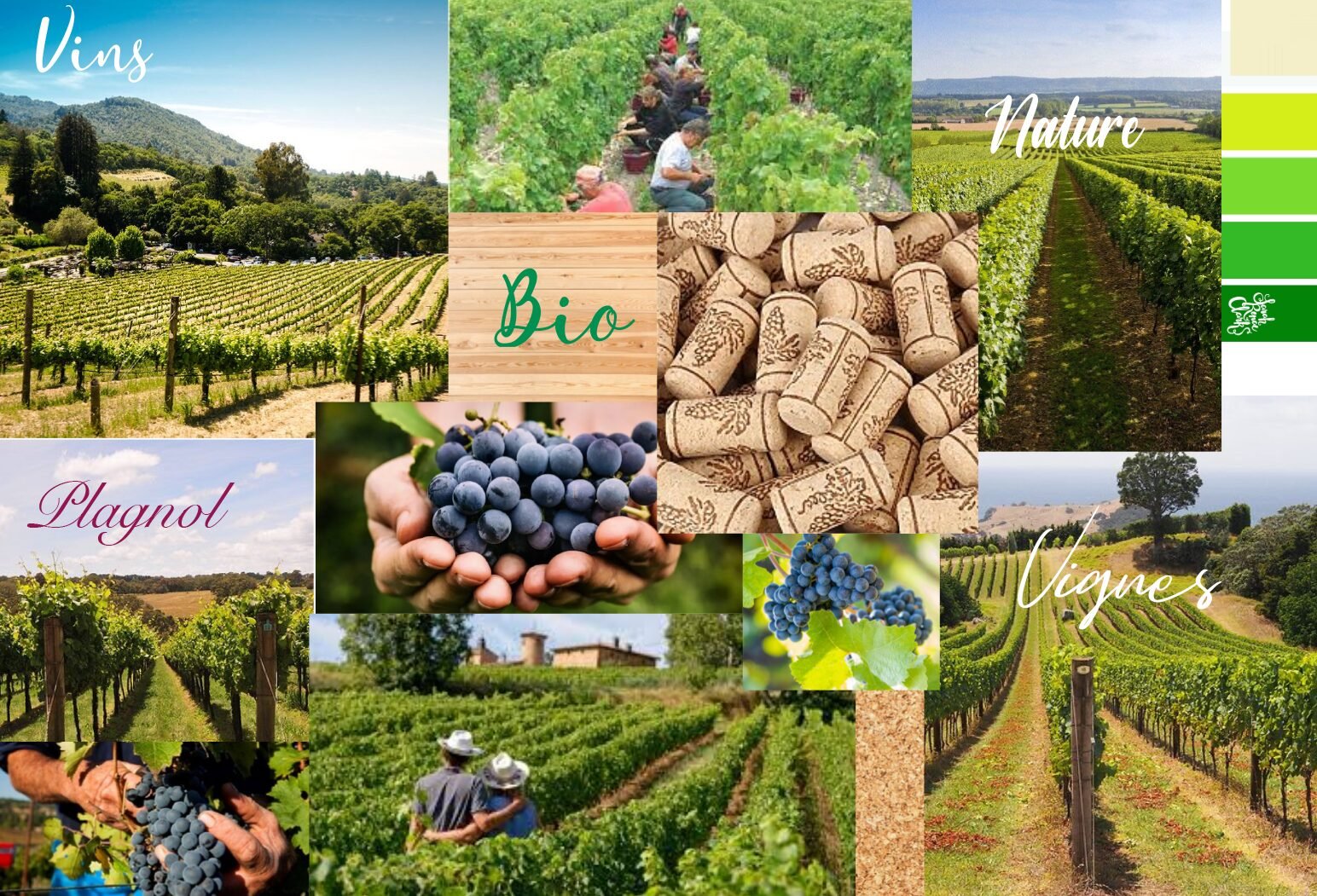 moodboard vins plagnol - Logos / Identités Visuelles