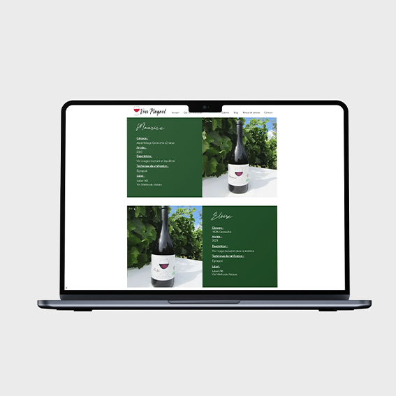 mock up ordi site web vins plagnol