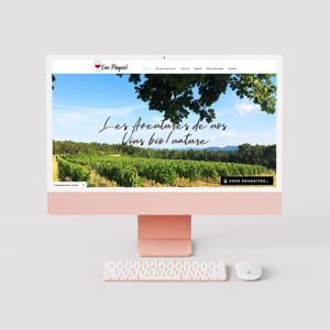 mock up ordinateur avec site Vins Plagnol